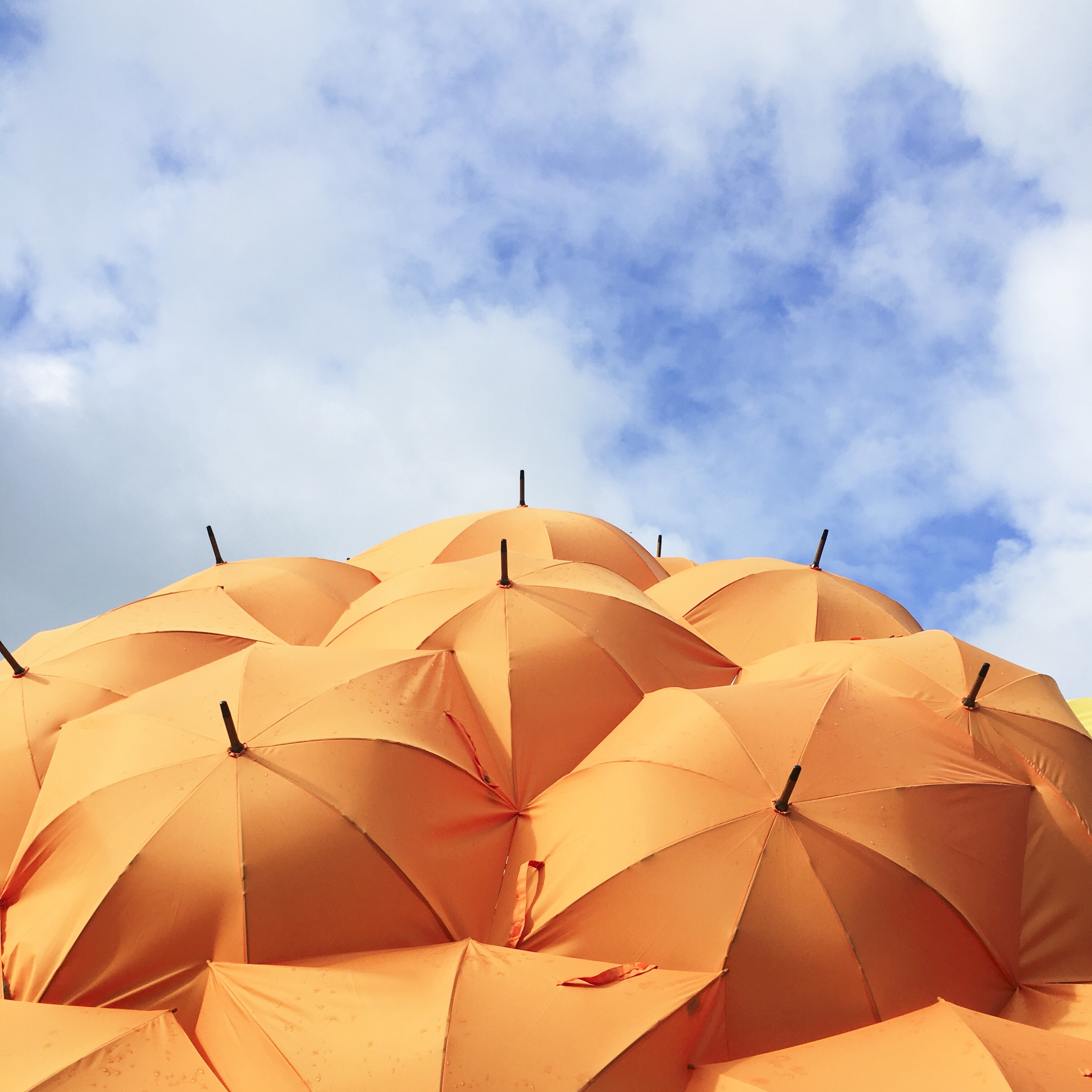 Orange umbrellas